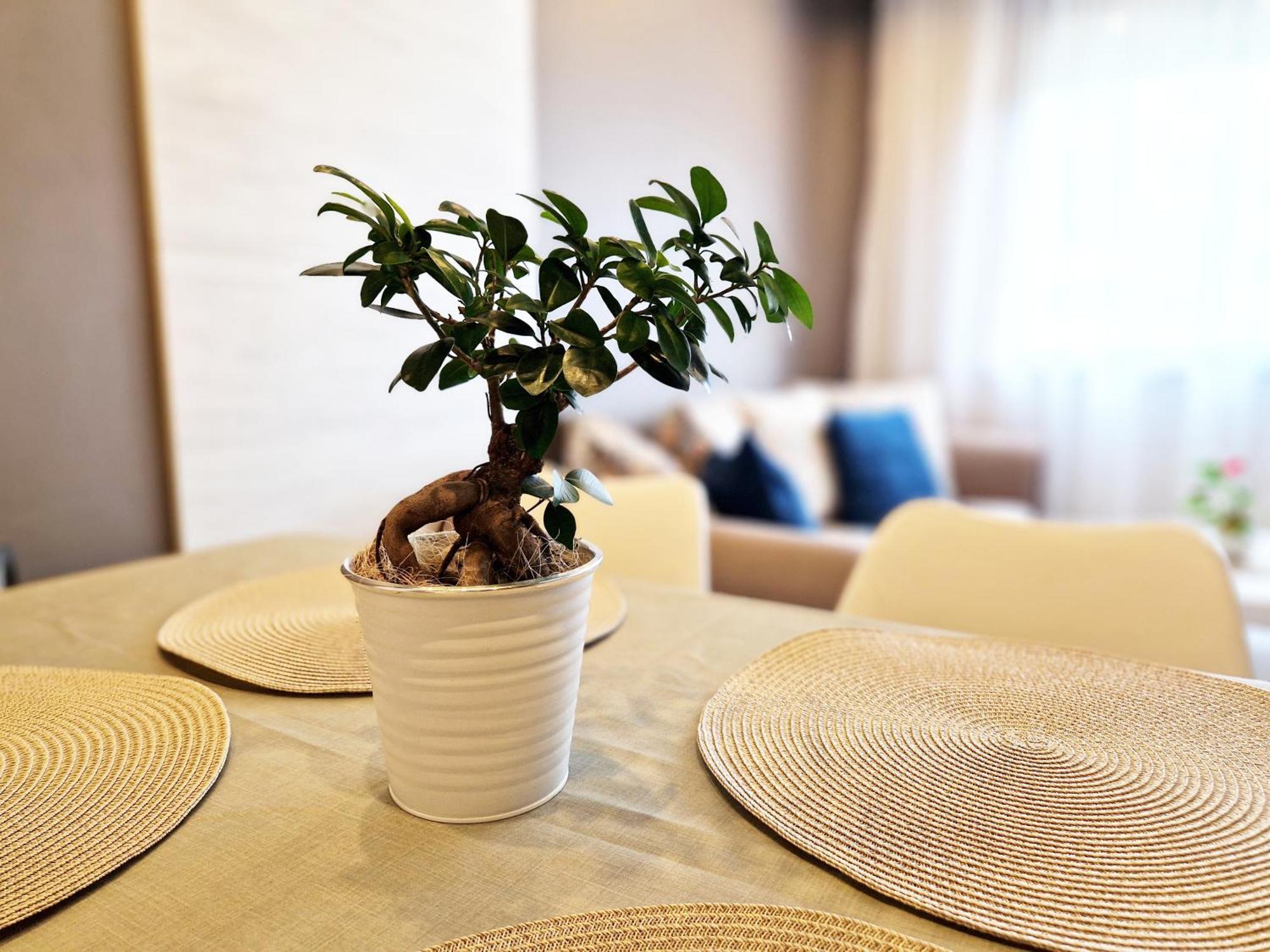 Central Apartment - Spacious Designer Property In Στάρα Ζαγόρα Εξωτερικό φωτογραφία